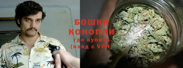 PSILOCYBIN Волоколамск