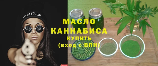 шишки Новодвинск