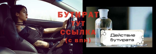 шишки Новодвинск