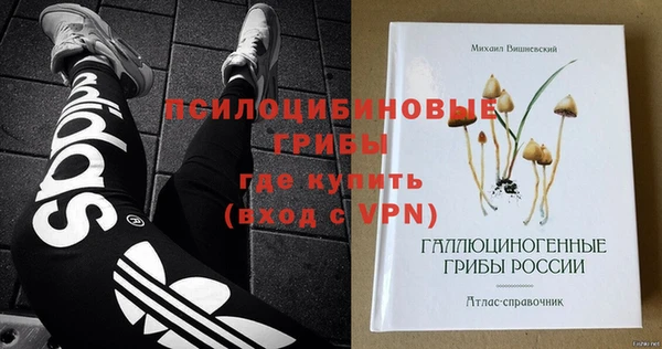 скорость Няндома