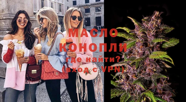 шишки Новодвинск