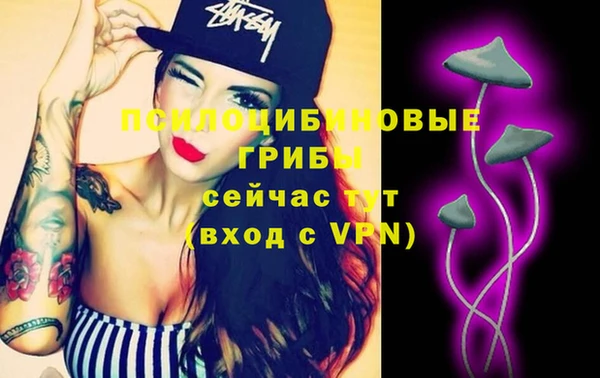 MDMA Premium VHQ Нязепетровск