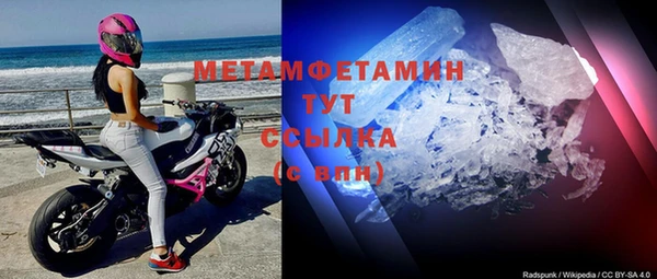 шишки Новодвинск