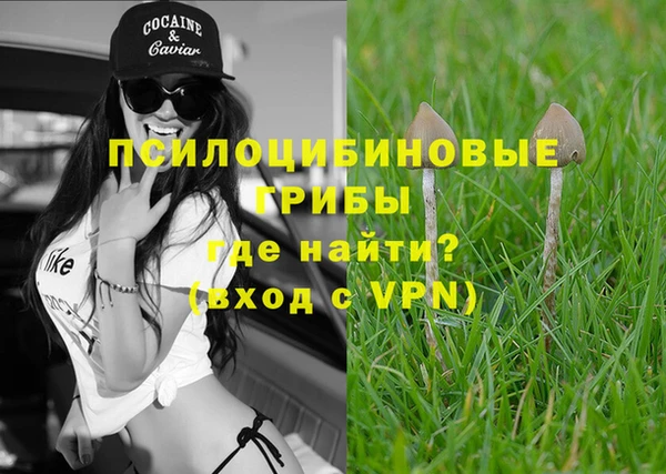 прущая мука Нягань