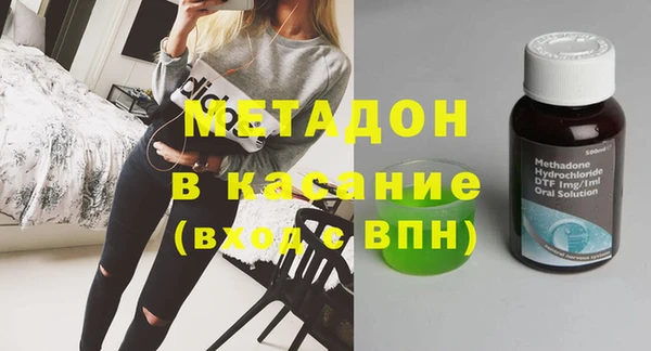 шишки Новодвинск