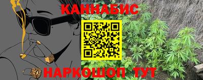 индика Донецк
