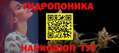 дмт Гагарин