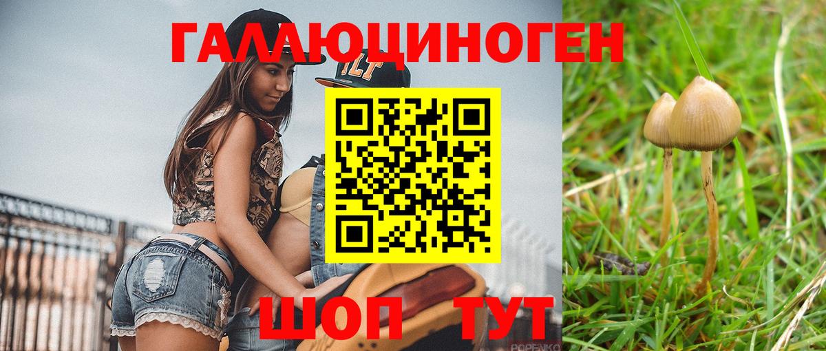 Галлюциногенные грибы прущие грибы  Дальнереченск  где можно купить   Псилоцибиновые грибы мухоморы 