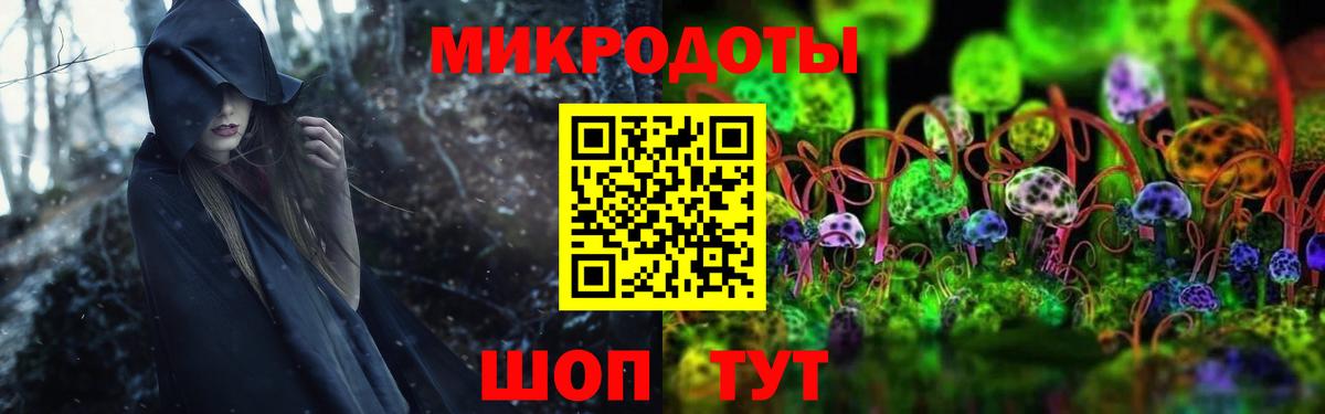закладка  Вход с VPN  Галлюциногенные грибы Psilocybe  Дальнереченск  Псилоцибиновые грибы GOLDEN TEACHER 